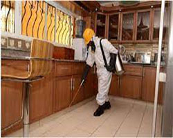 Hotel Pest Control Delhi, Five Star Hotel Pest Control Delhi, Guest House Pest Control Delhi, 3 Star Hotel Pest Control Delhi